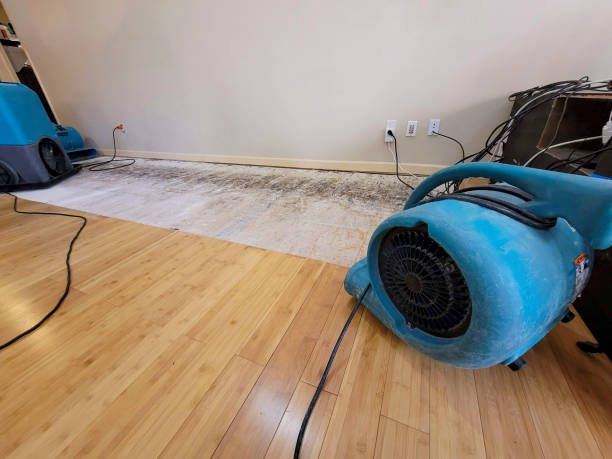 Professional Water Damage Repair technician working in New York, NY